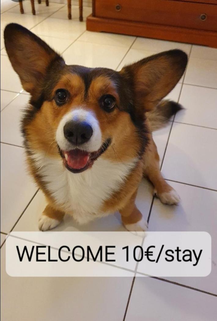 Apartment Sweet